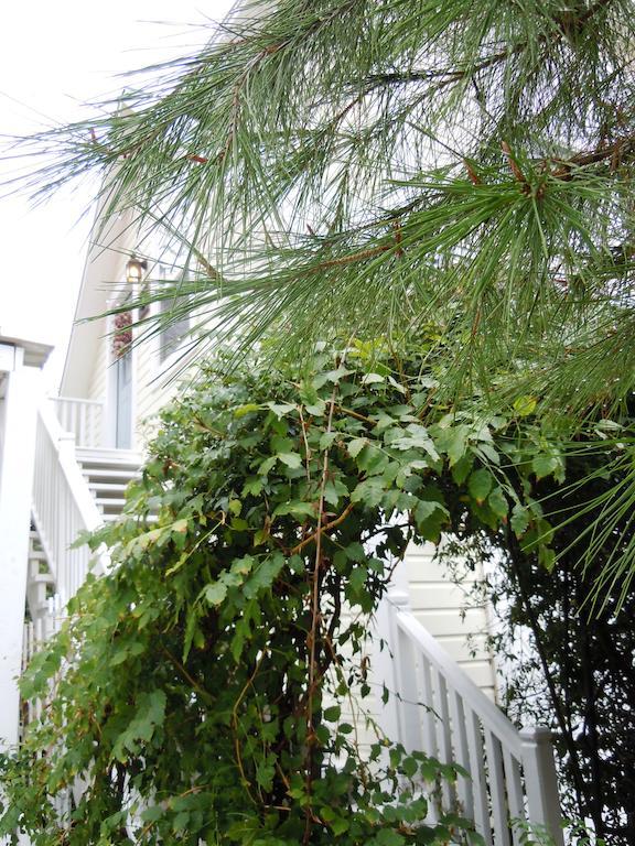 Carriage House Fredericksburg Bed & Breakfast Luaran gambar